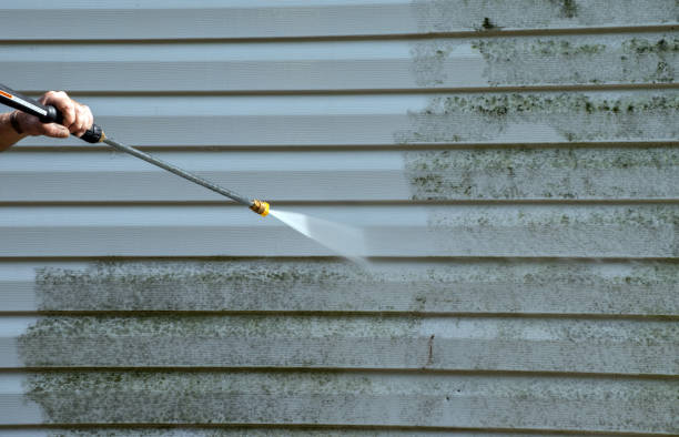 Mold Testing and Removal in Fairport, NY