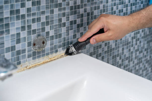 Best Black Mold Removal  in Fairport, NY